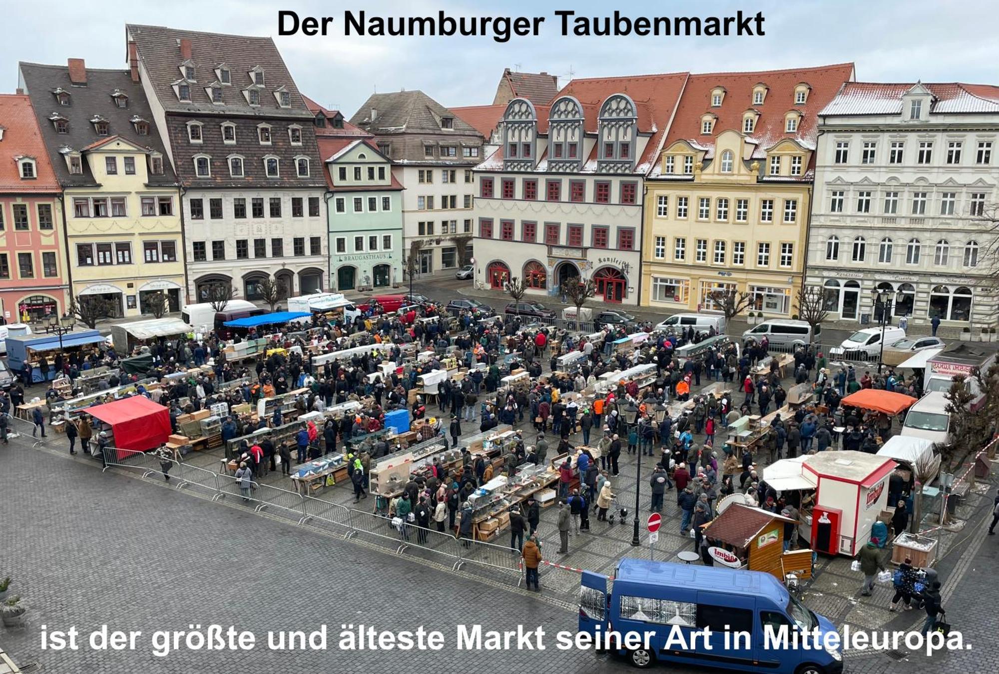 Brix Apartment Naumburg  Exterior foto